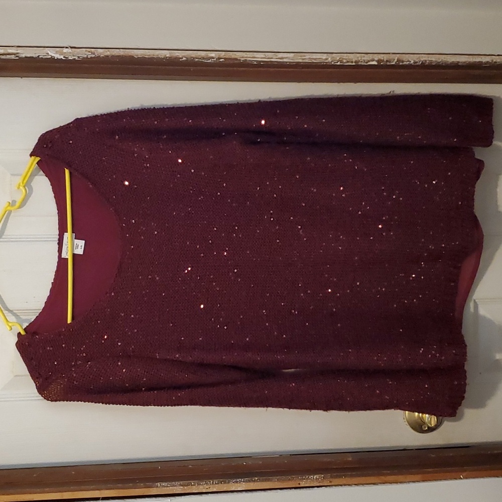 Burgundy Pullover Sweater with Sequins